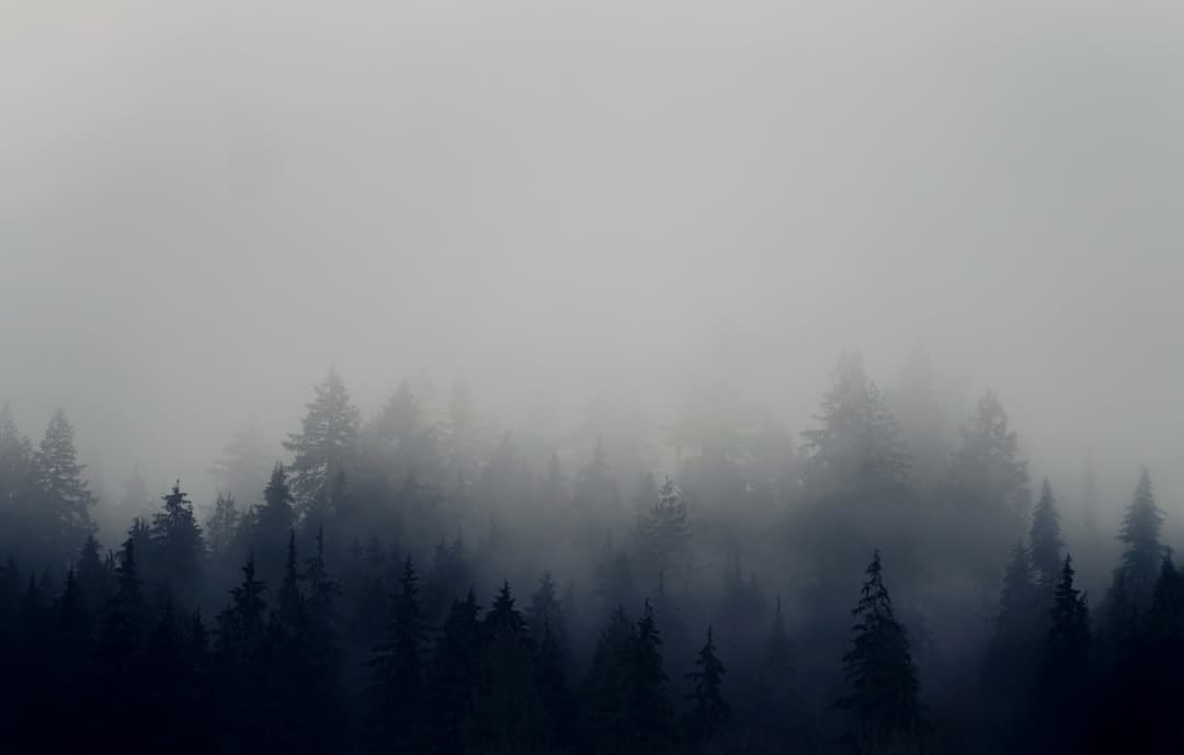 https://img2.utuku.imgcdc.com/650x0/news/20250905/99c77cf4-7cc3-4d34-a55e-c3dcaf1d61a9.jpg